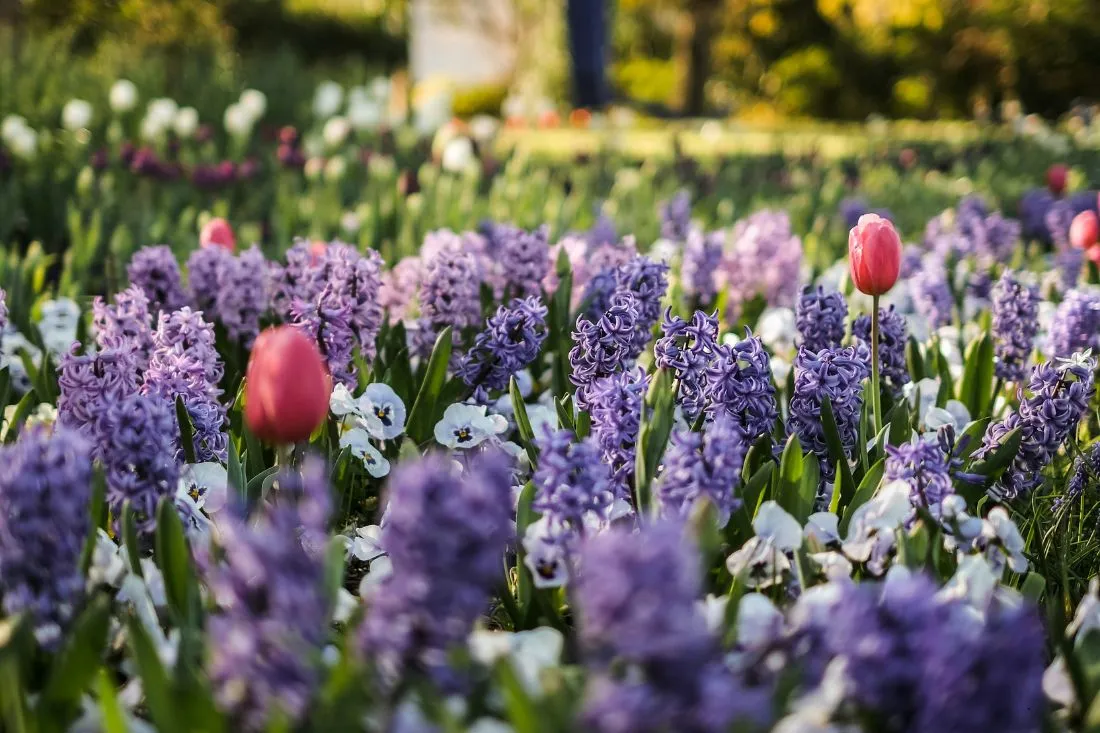 Spring selling season is here. What's different in 2026?